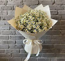 Букет цветов из:  Ромашки #REPLACE_PRED# Ендовище
